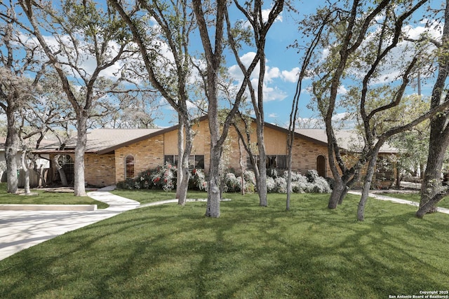 mid-century inspired home featuring brick siding and a front lawn