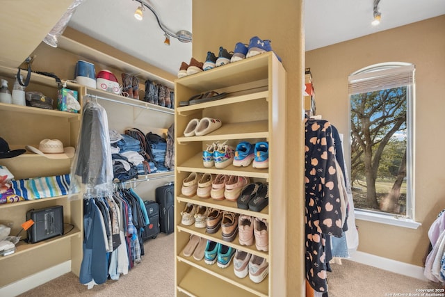 walk in closet with carpet floors