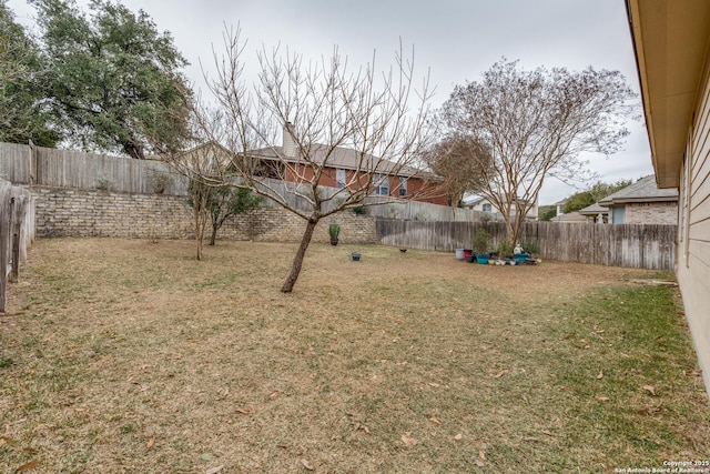 821 Walzem Msn, New Braunfels, TX 78132 - view of yard