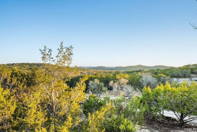 property view of mountains with a water view and a view of trees