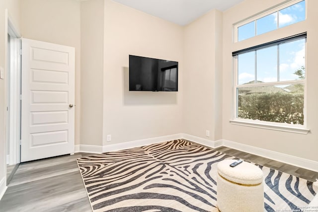 interior space with baseboards and wood finished floors