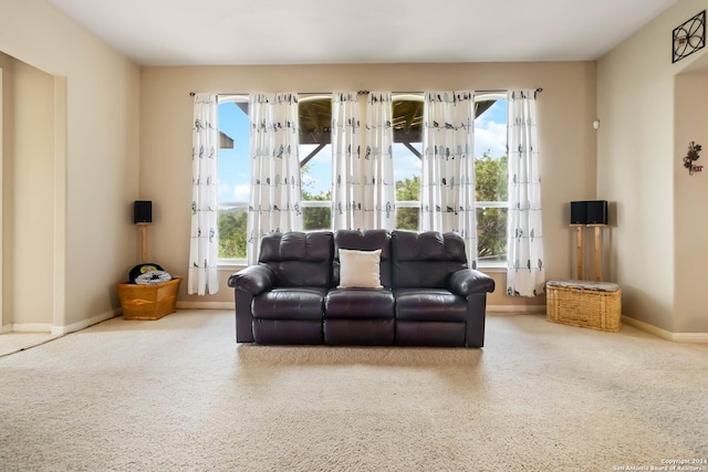 846 County Road 2763, Mico, TX 78056 - living area featuring carpet, french doors, and baseboards