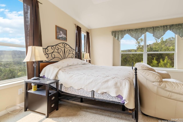 846 County Road 2763, Mico, TX 78056 - carpeted bedroom featuring multiple windows and baseboards