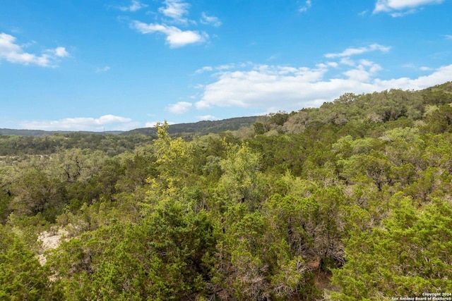 846 County Road 2763, Mico, TX 78056 - view of landscape with a wooded view