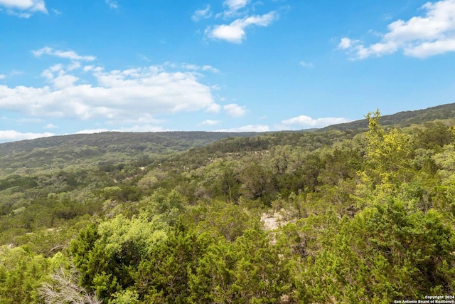 846 County Road 2763, Mico, TX 78056 - mountain view featuring a forest view