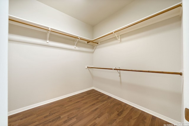 walk in closet featuring dark wood-style flooring