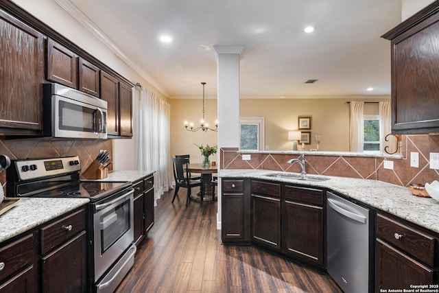 kitchen with dark wood finished floors, crown molding, stainless steel appliances, a sink, and dark brown cabinetry