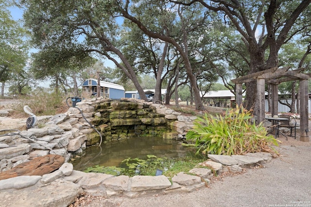 view of yard with a small pond