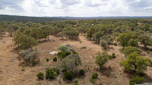 drone / aerial view with a rural view and a view of trees