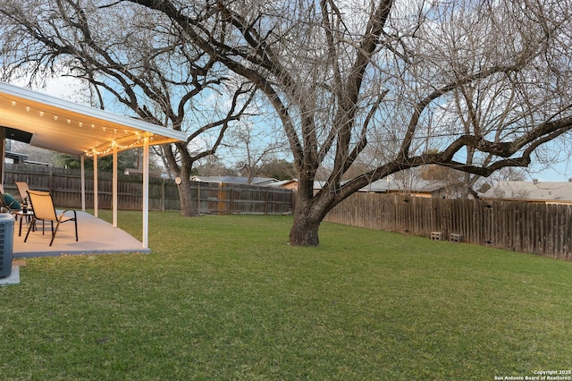 view of yard featuring a patio area and a fenced backyard