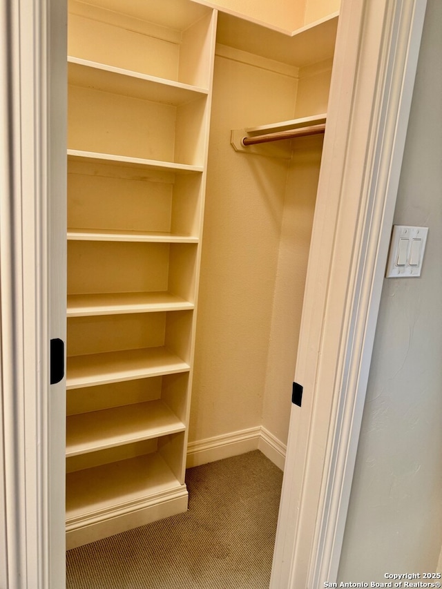 view of walk in closet