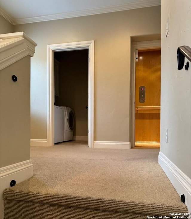 hall featuring ornamental molding, carpet flooring, and baseboards