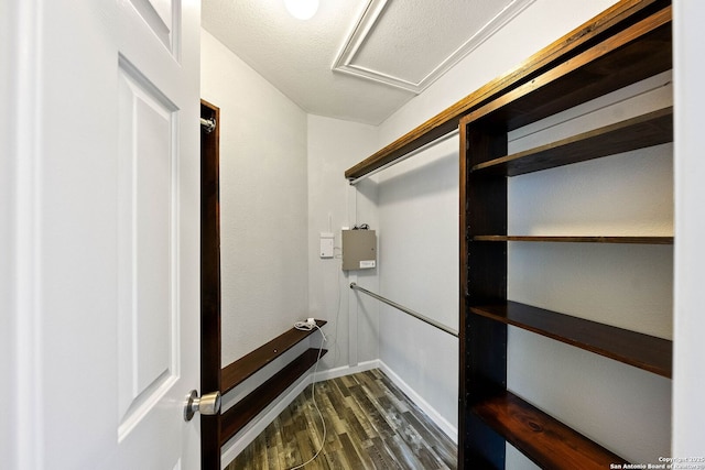 spacious closet featuring dark wood finished floors