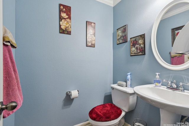 half bathroom featuring toilet, ornamental molding, and a sink