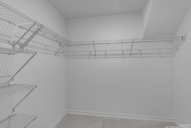 walk in closet with carpet floors