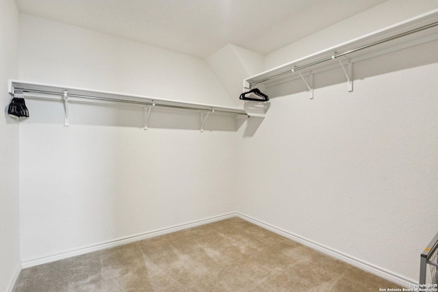 walk in closet featuring light colored carpet