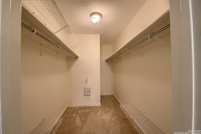 walk in closet featuring carpet floors