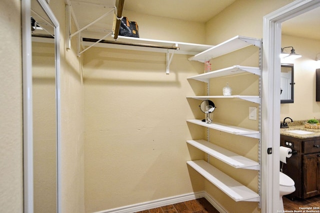 walk in closet with dark wood finished floors and a sink