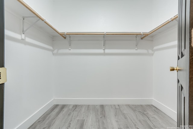 walk in closet featuring light wood-style floors