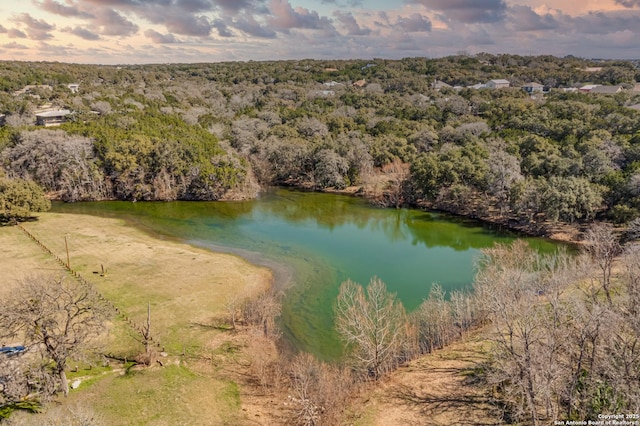 bird's eye view featuring a water view and a wooded view