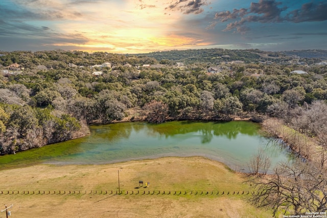 aerial view at dusk with a water view and a view of trees