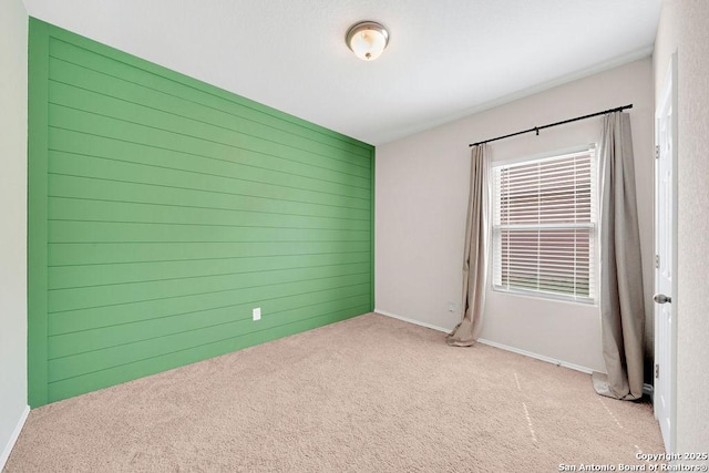 spare room featuring wood walls, carpet, and baseboards