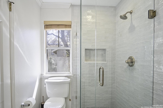 bathroom featuring ornamental molding, a shower stall, and toilet