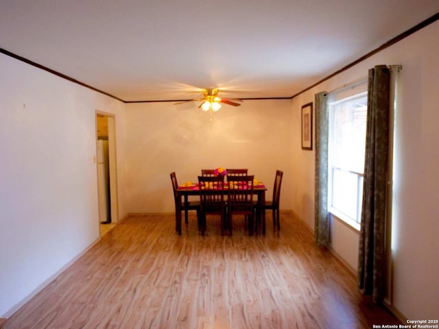 dining area featuring ornamental molding, light wood-type flooring, and a ceiling fan