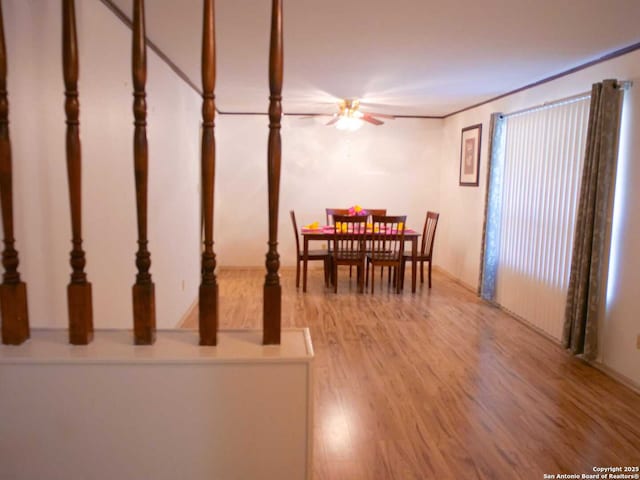 dining room featuring a ceiling fan and wood finished floors