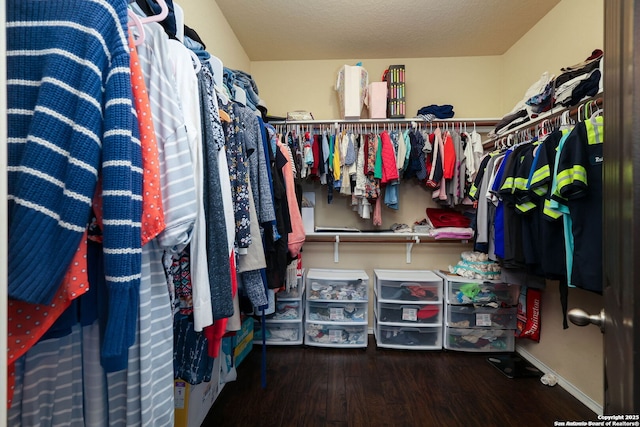 276 Cita Roost, San Antonio, TX 78253 - spacious closet featuring wood finished floors