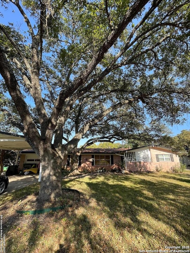 view of yard featuring a carport