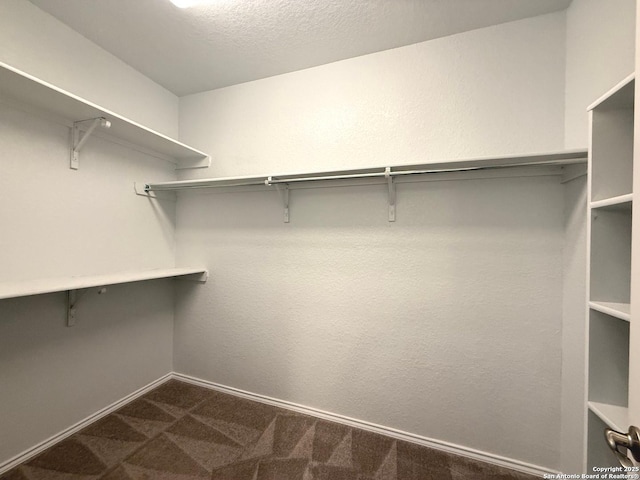 walk in closet featuring dark carpet