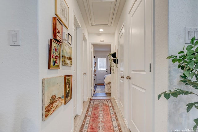 hall featuring light wood-style floors and attic access