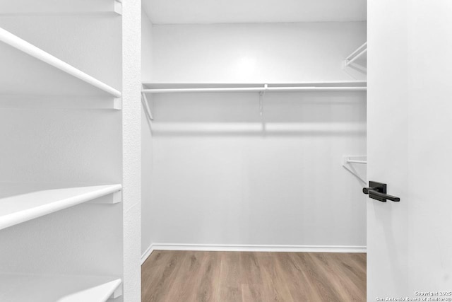 spacious closet featuring wood finished floors