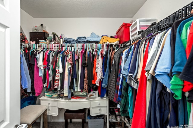 spacious closet with carpet