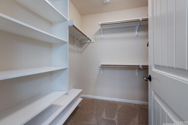 walk in closet with carpet floors