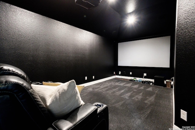 cinema room with carpet flooring