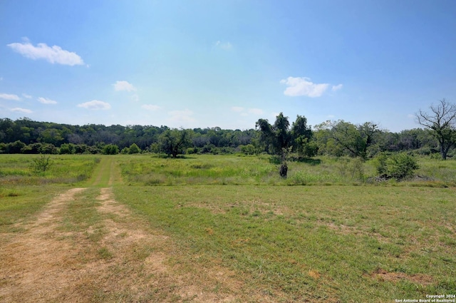 view of local wilderness featuring a forest view and a rural view