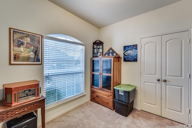 interior space with light carpet and baseboards