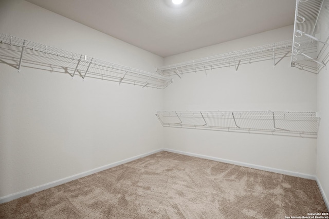 spacious closet with carpet floors