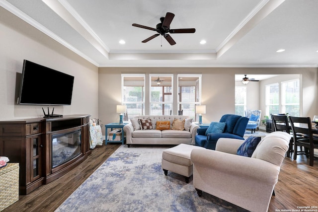 living area with ornamental molding, dark wood-type flooring, and a raised ceiling