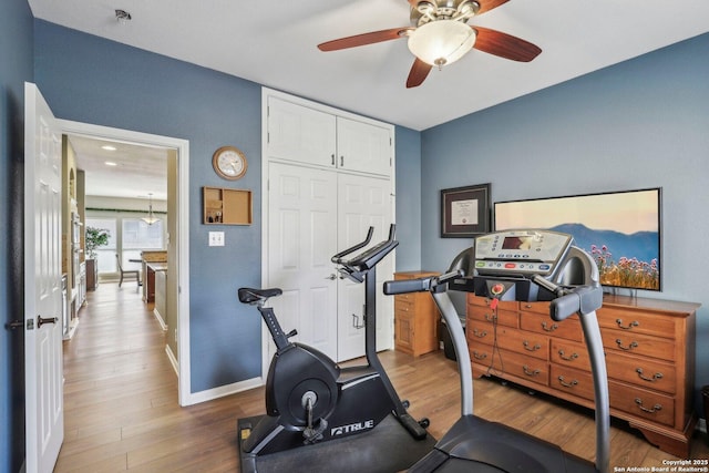 workout area with ceiling fan, baseboards, and wood finished floors