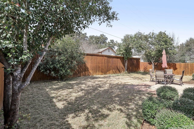 view of yard with a patio and a fenced backyard