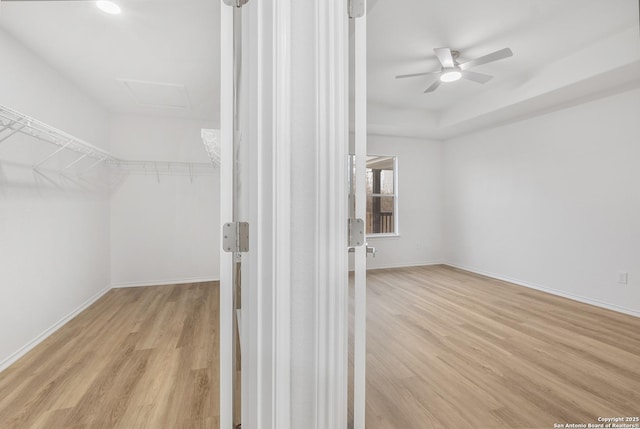 spacious closet with attic access, a ceiling fan, a raised ceiling, and wood finished floors