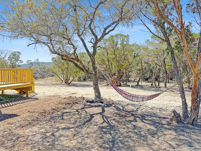 660 Skyline Dr, Bandera, TX 78003 - view of yard