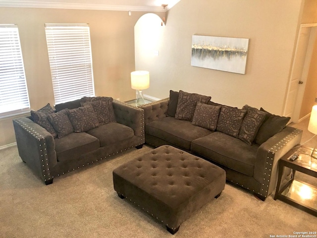 carpeted living area with ornamental molding and baseboards