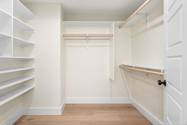 spacious closet with light wood-type flooring