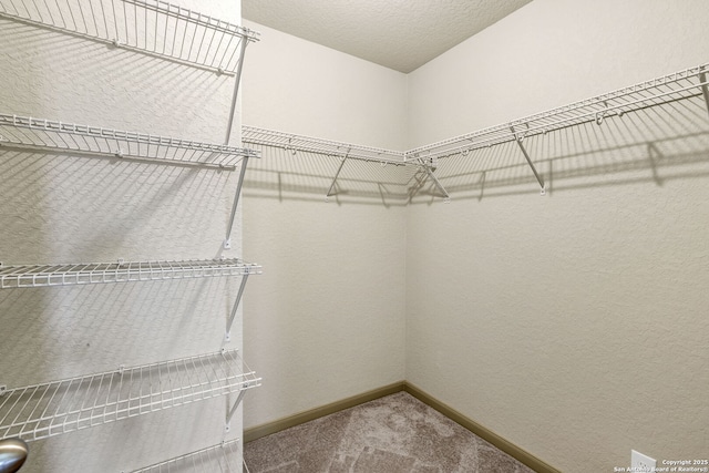 spacious closet with carpet