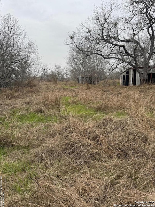 view of local wilderness