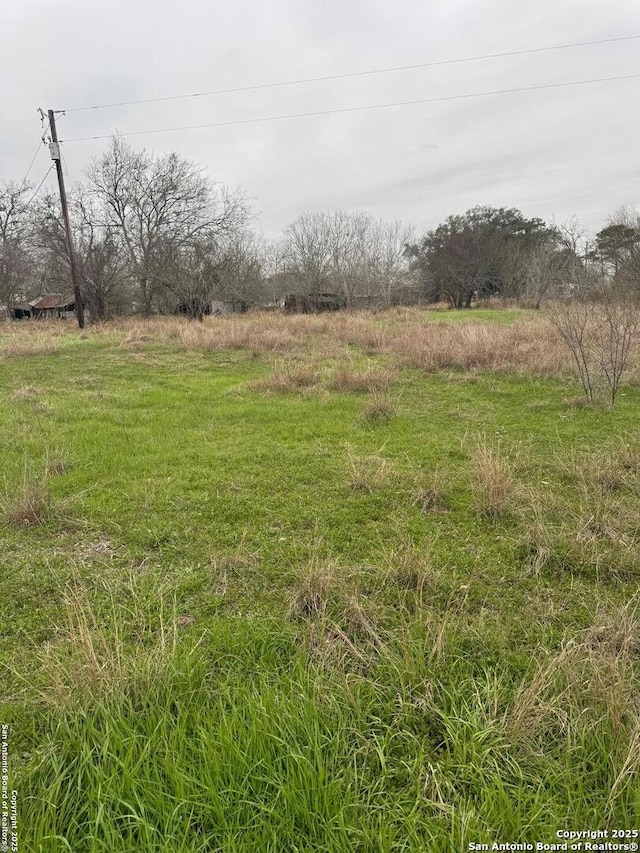 view of yard featuring a rural view